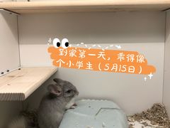 -龙猫仔乐园(惠福东路店)