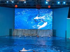 -海合安青岛极地海洋公园