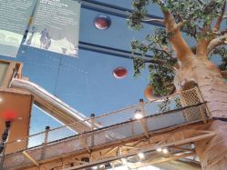 -卡通尼·Safari非洲探索乐园·生日会(金桥国际商业广场店)