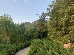 -府君山公园