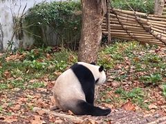 -黔灵山公园