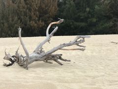 -惠州金海湾嘉华度假酒店