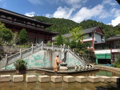 -江西阳明山国家森林公园