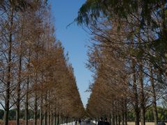 -嘉北郊野公园