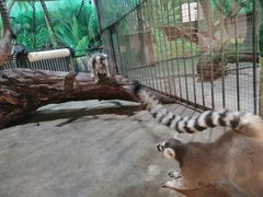 -西安秦岭野生动物园