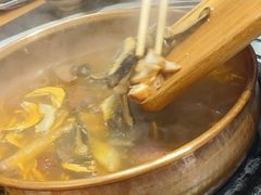 -阿山卓·野生菌火锅·纳西火塘烤肉