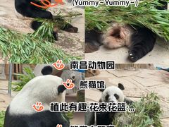 -南昌动物园