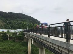 -羚羊峡古栈道森林公园