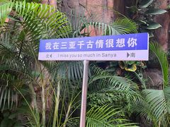 -三亚千古情