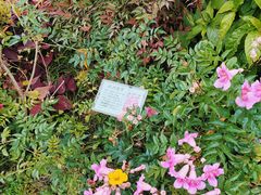 -深圳国际园林花卉博览园