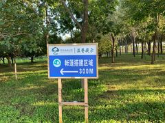 -东郊湿地公园