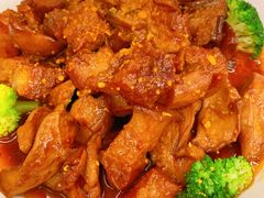 -陈麻婆豆腐总店
