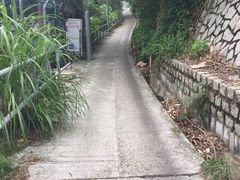 -南丫岛