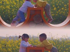 -光明小镇欢乐田园