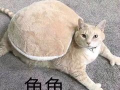 -盛天毛血旺非遗美食(观音桥店)