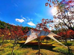 -广州市帽峰山景区