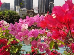 -小南山公园