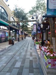 -菩羽·专业美胸·连锁养护中心