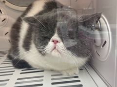 -FAELING PETS美天灵宠物(富力广场店)
