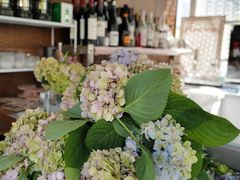 -花·fleur古董西餐厅(西城夜未央店)