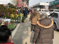 -三圣花乡旅游区