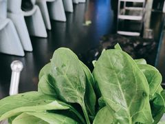-王家渡火锅店(棕榈泉店)