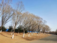 -永定河休闲森林公园