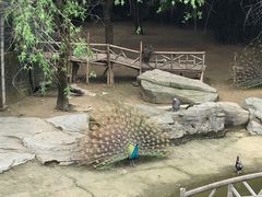 -南昌动物园