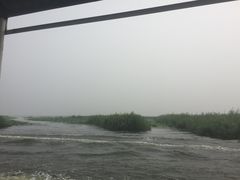 -白洋淀景区
