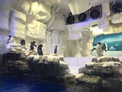 -华夏文旅海洋公园