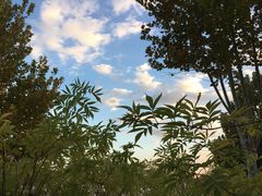 -北京麋鹿生态实验中心