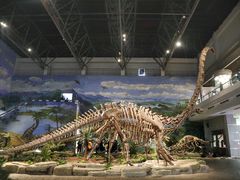 -自贡恐龙博物馆