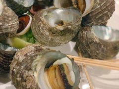 花螺-南蚝小贝海鲜特色餐厅(南澳岛店)