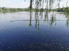 -苏堤停车场