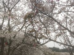 -凤凰沟景区