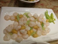 清炒虾仁-醉香园(长江北路店)