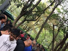 -韶山毛泽东同志故居