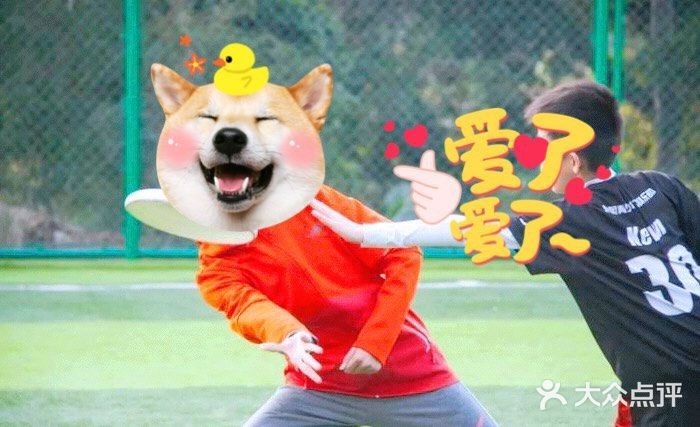 不一样的小众运动