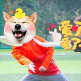 不一样的小众运动