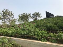 -太阳宫公园