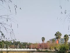 -西南政法大学(渝北校区)