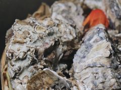 -蚝山·喷汽火山生蚝(前福路店)