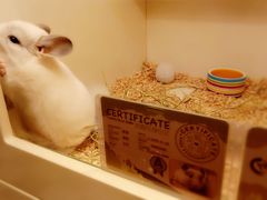 -龙猫仔乐园(惠福东路店)