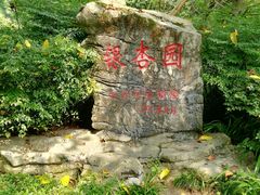 -邓小平故里