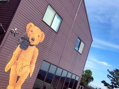 -济州岛泰迪熊博物馆