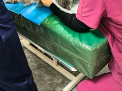 -美联众合动物医院·24h转诊中心