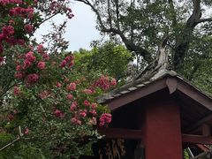 -七曲山风景区
