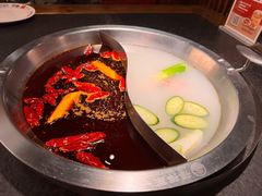 -山城棒棒军手作火锅·天花板手撕水牛鲜毛肚(北京店)