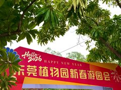 -东莞植物园