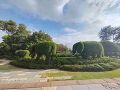 -铁山坪森林公园